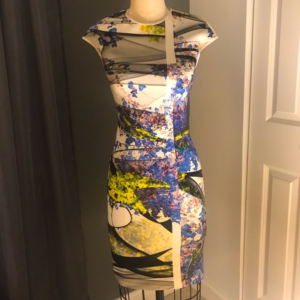 Gorgeous Clover Canyon Mini Bodycon dress